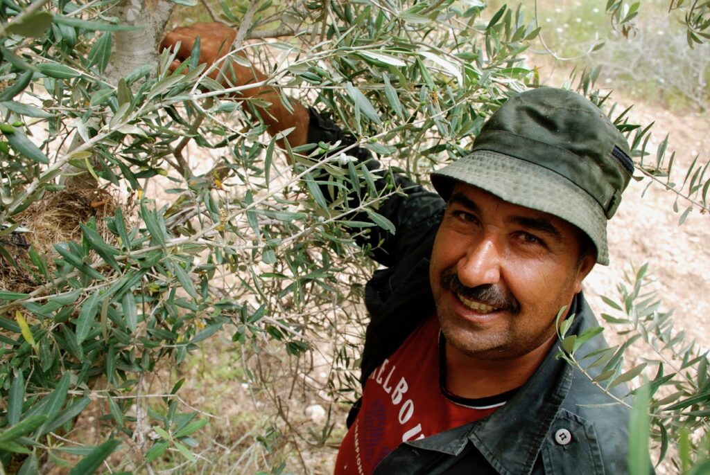 Producteur d'huile d'olive palestinienne Canaan Fair Trade