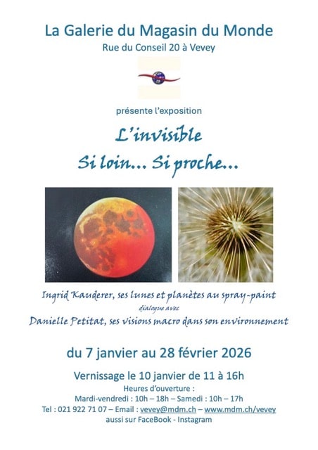 Exposition galerie Magasin du Monde de Vevey